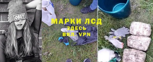 СК Абинск