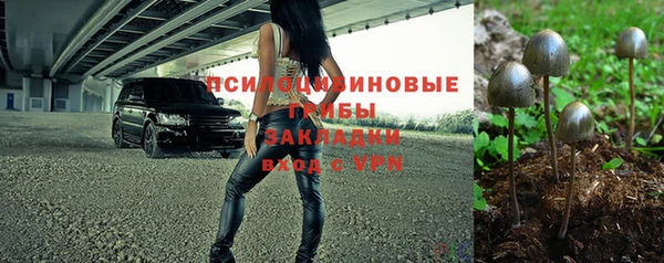 ПСИЛОЦИБИНОВЫЕ ГРИБЫ Абдулино